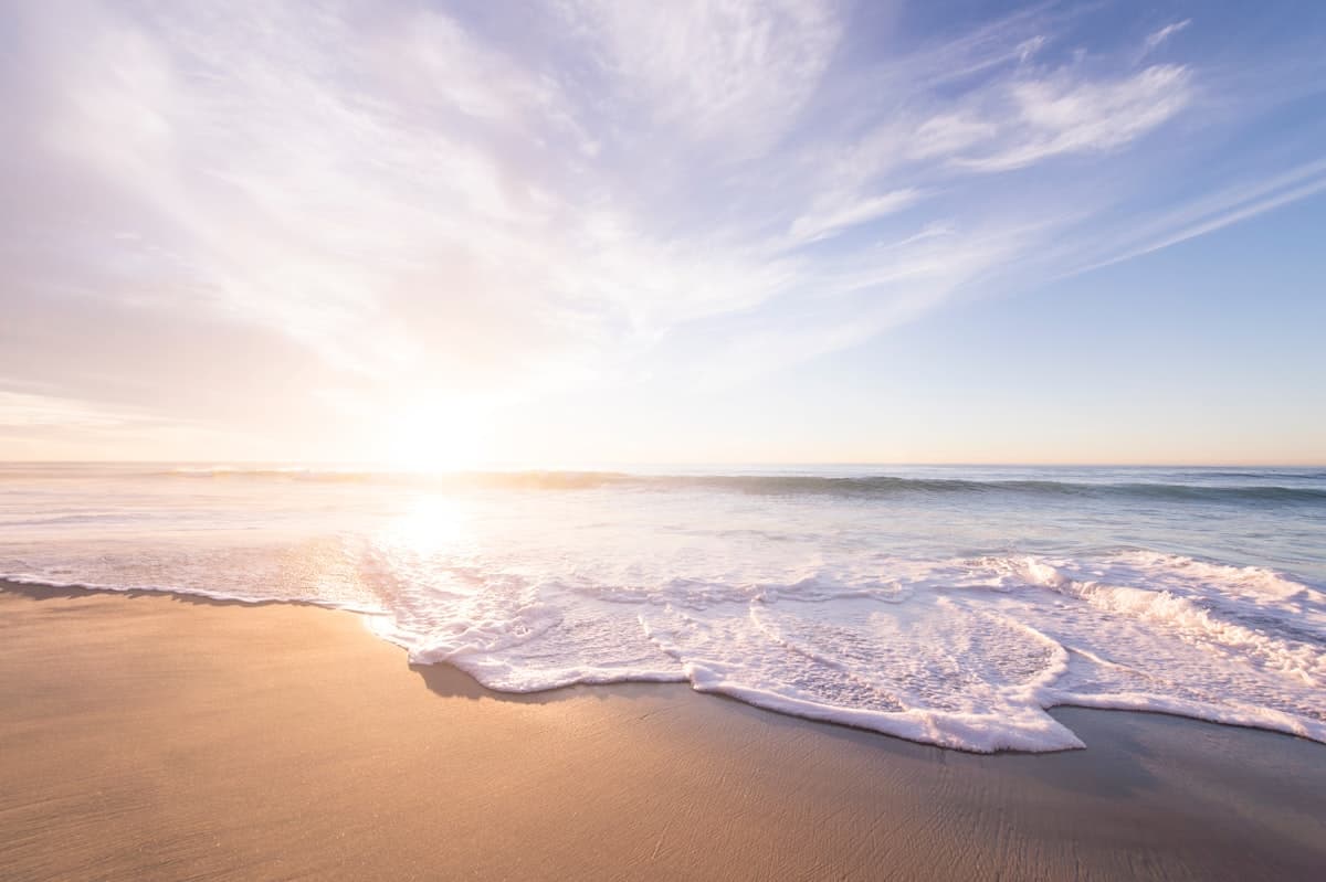 Cigarette butt-free beaches — End-of-season count