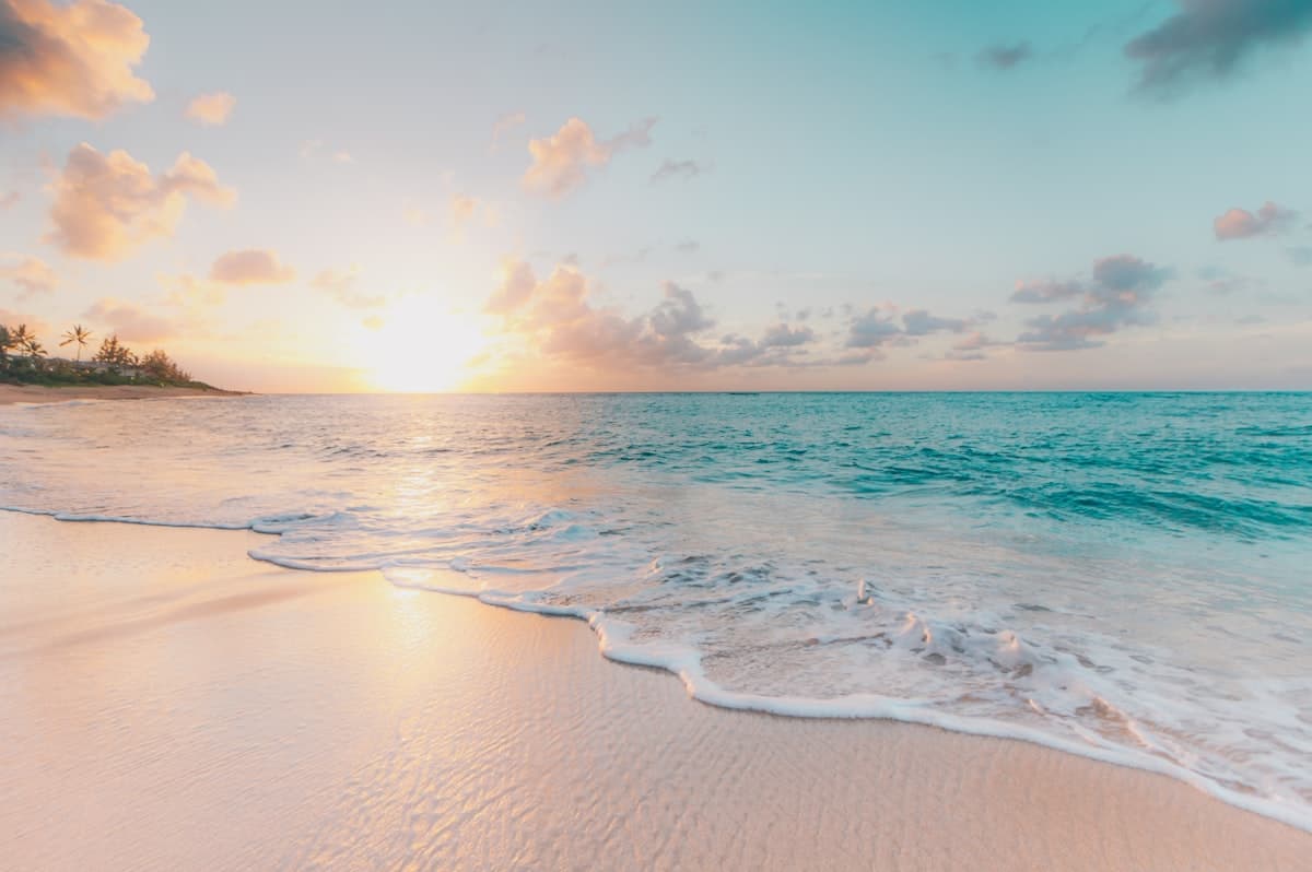 Cigarette butt-free beaches